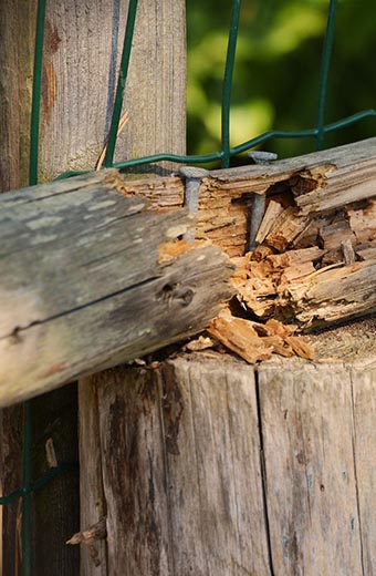 Is it time to replace your fence?