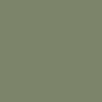 colorbond fencing colours - Pale Eucalypt