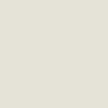 colorbond fencing colours - surfmist