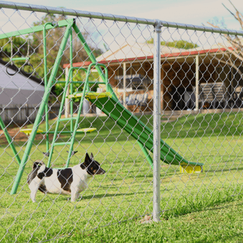 chaiwire fencing redcliffe
