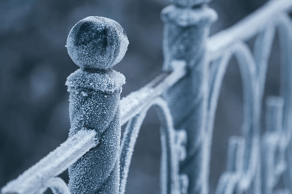 cold weather fence