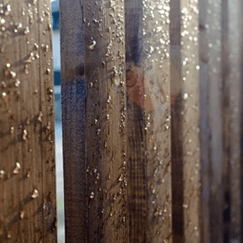 mositure damage in timber fencing