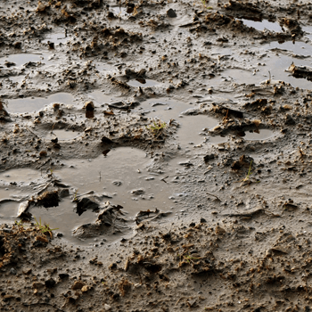 shifting soil due to rain