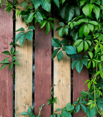 extend life of fence