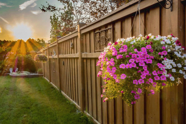 fencing to suit landscaping