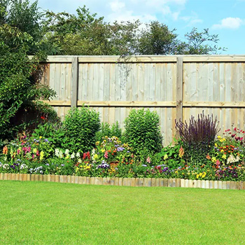 Planting Trees and Shrubs Near Your New Fence