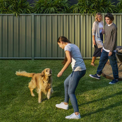 Colorbond Fencing Family Fence