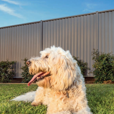 Low-Maintenance Fencing Options