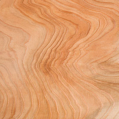 Termite-Resistant Wood Fencing Options