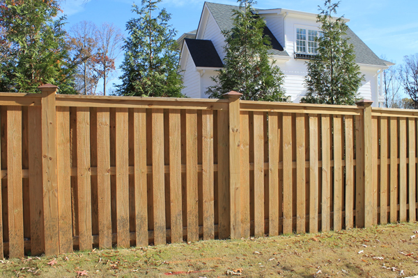Timber Paling Fences Feature