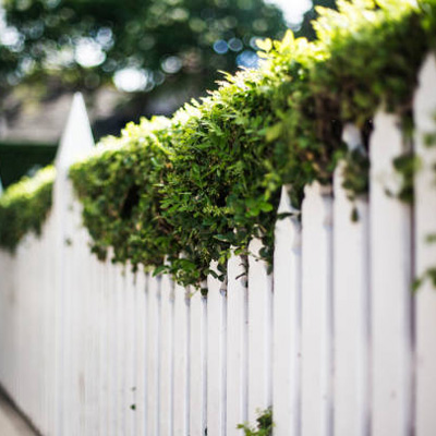 Fence Storm Preparation