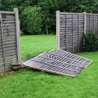 Fence Replacement or Repair