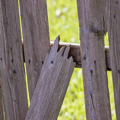 Fence Replacement or Repair