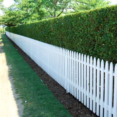 Best Fences for Queenslander Homes: Fencing Options That Complement Classic Charm