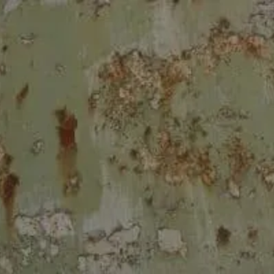 Colorbond Fence Looking Tired? Here’s When It’s Time to Replace