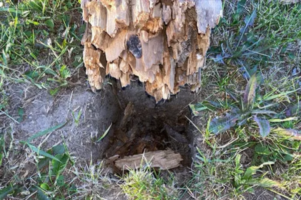 How to Prevent Fence Posts from Rotting or Shifting