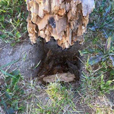 How to Prevent Fence Posts from Rotting or Shifting