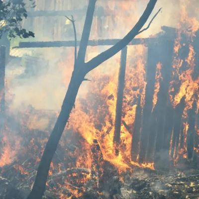 Fencing Options for Bushfire-Prone Areas in Queensland