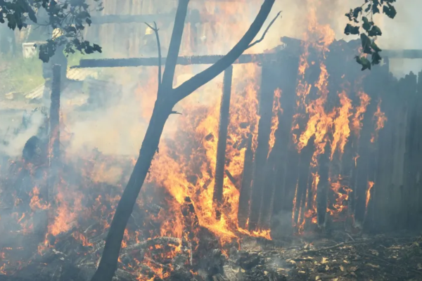 Fencing Options for Bushfire-Prone Areas in Queensland