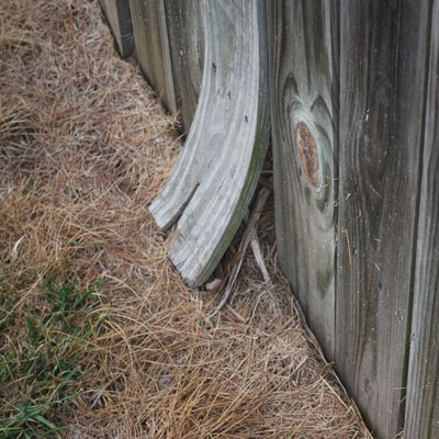 How Coastal Conditions Affect Fence Lifespan