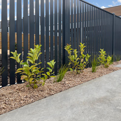 Termite-Resistant Fencing Options Beyond Treated Pine