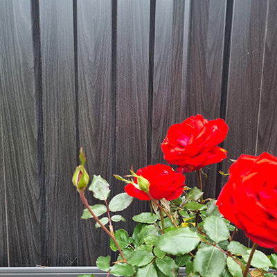 timber look fencing in a garden
